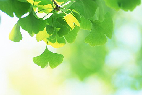 八字合不到一个字 如果一个八字都合不上怎么办