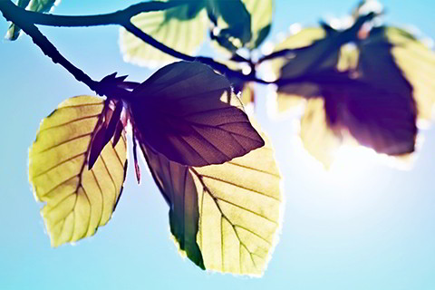 八字型门楼,八字风水门楼