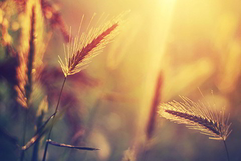 假八字纯阴藏阳_八字纯阴和假纯阴的区别