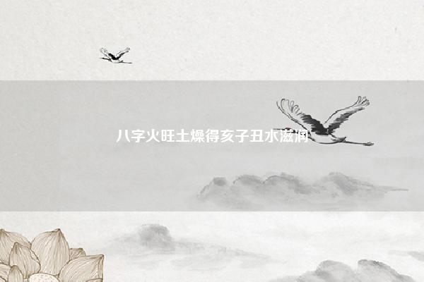 八字火旺土燥得亥子丑水滋润 八字燥土遇水 命理 第1张 八字火旺土燥得亥子丑水滋润 八字燥土遇水 命理 第1张