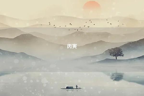 丙寅 庚子 甲寅 壬申八字,八字丙寅庚子甲辰 命理 第1张