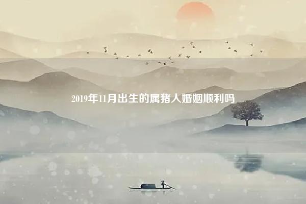 2019年11月出生的属猪人婚姻顺利吗,2022年1月份属猪婚姻顺利吗 命理 第1张